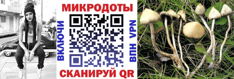 Галлюциногенные грибы мухоморы Купить где Вятские Поляны